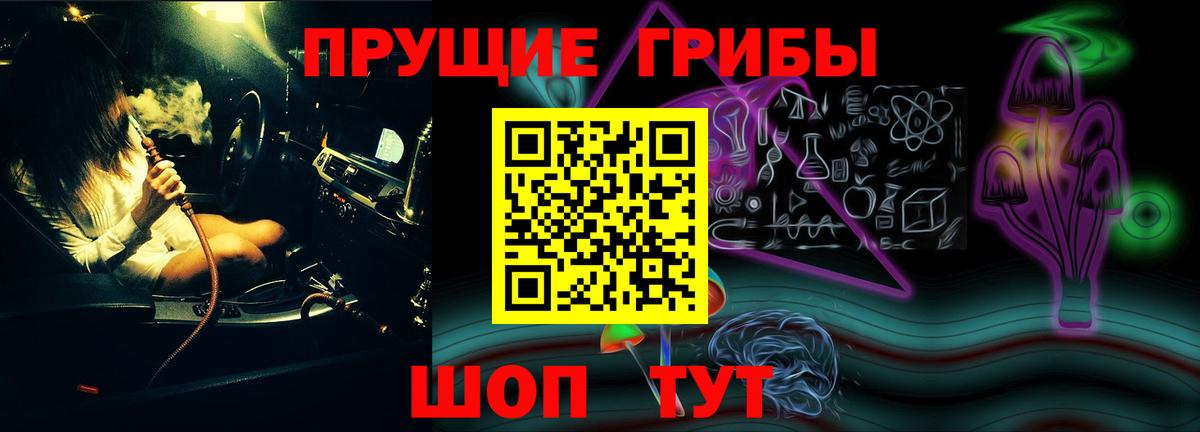 Галлюциногенные грибы Psilocybe  Галлюциногенные грибы прущие грибы  Вход с VPN  Балашиха 